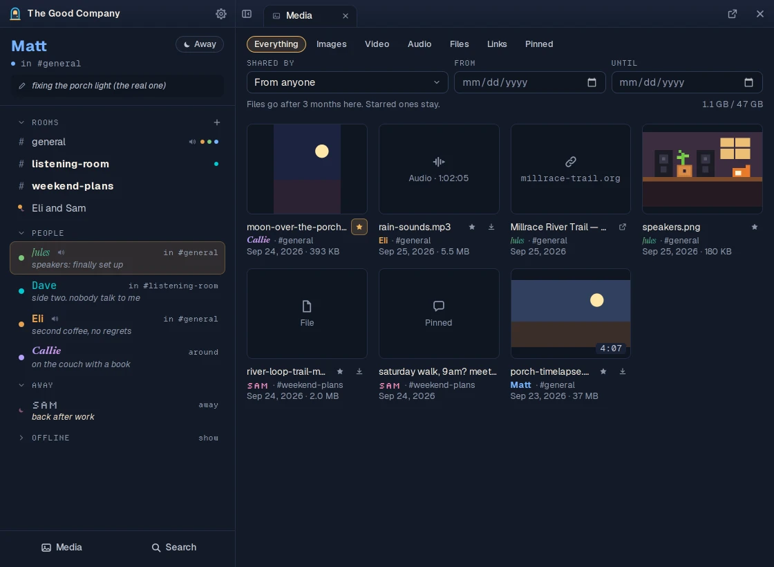 The Media tab: a grid of the photos, songs, videos, files and links people shared, with who shared each one and where.